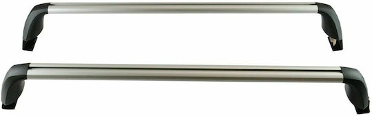 Toyota 2008-2017 (with Roof Rack Legs) Silver