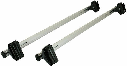 Toyota 2015-2022 (with Roof Rack Legs and Lock) Silver