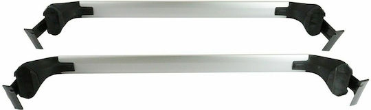 Toyota 2016-2022 (with Roof Rack Legs and Lock) Silver