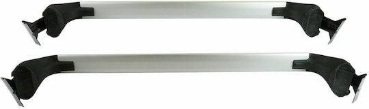 Toyota 2019 (with Roof Rack Legs and Lock) Silver