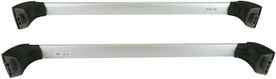 Toyota 2018-2022 (with Roof Rack Legs and Lock) Silver