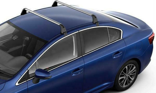 Toyota 2008-2017 (with Roof Rack Legs) Silver
