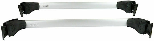 Toyota 2020 (with Roof Rack Legs) Silver
