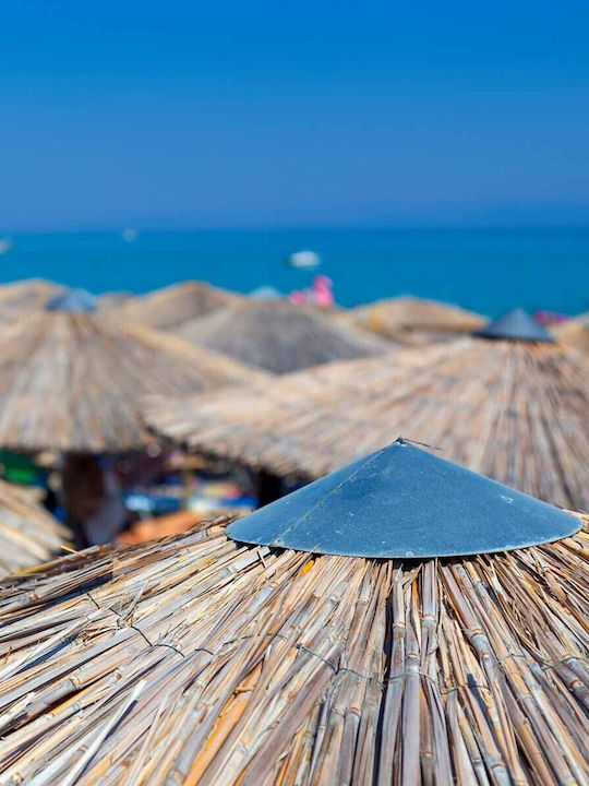 Showood Garden & Terrace Parasol from Bamboo Ø220cm