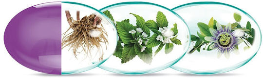 Rotta Natura 40mg Supliment Pentru Sarcină 30 Capsule