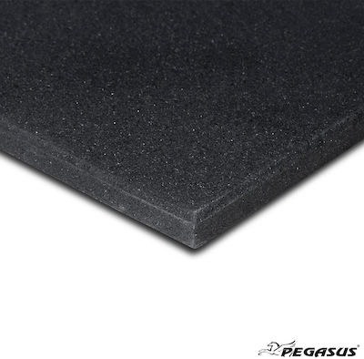 Pegasus Rubber Gym Mat Black 100x100x2cm