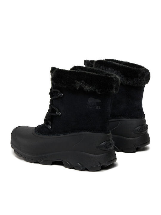 Sorel