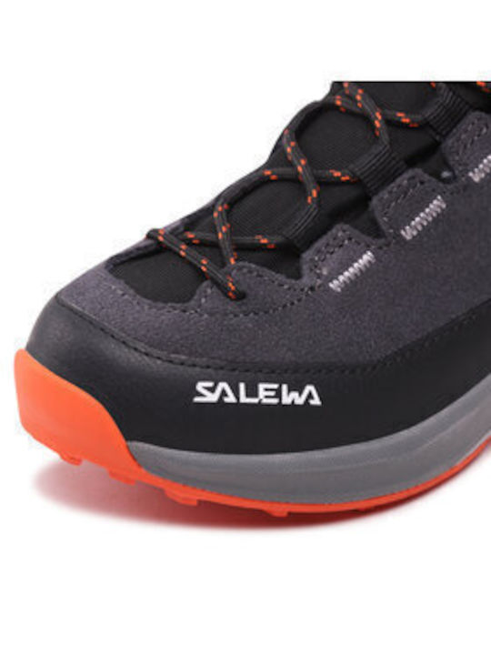 Salewa