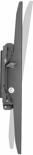 Reflecta Plano Flat 70-6040T Επιτοίχια έως 70" και 50kg