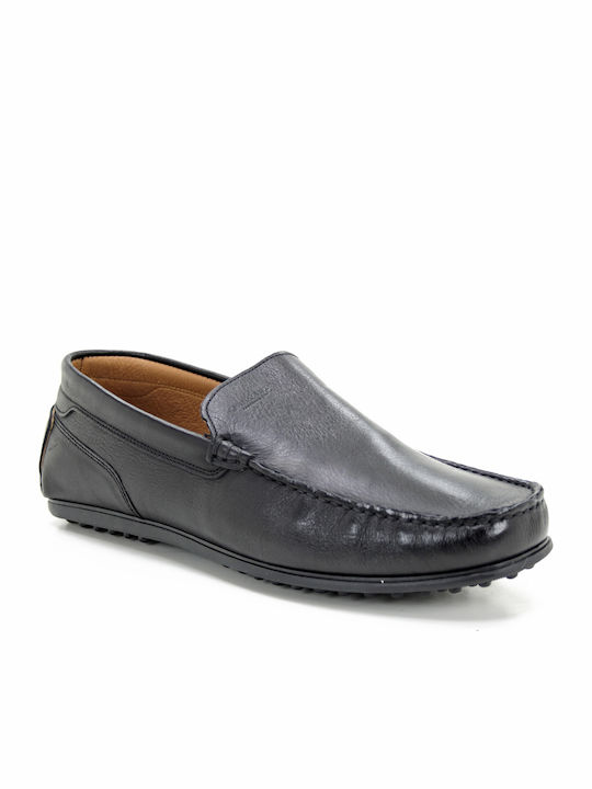 Damiani