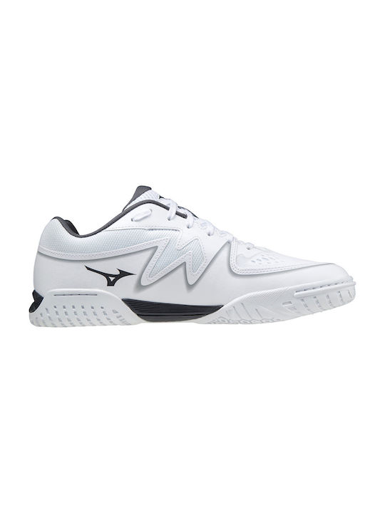 Mizuno