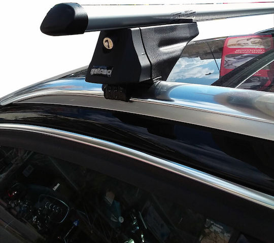 Menabo (with Roof Rack Legs) Silver
