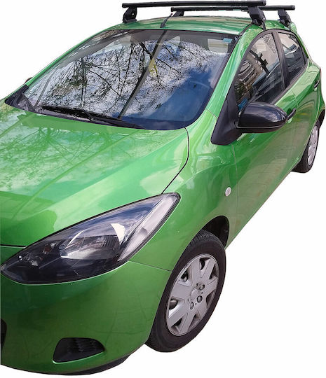 Menabo (with Roof Rack Legs) Silver