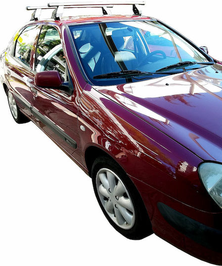 Menabo für Citroen Xsara (mit Dachträgerfüßen) Silber