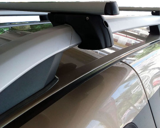 Menabo für Dacia Staubwedel (mit Dachträgerfüßen) Silber