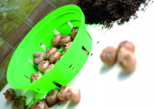 Prosperplast Καλάθι Garden Basket