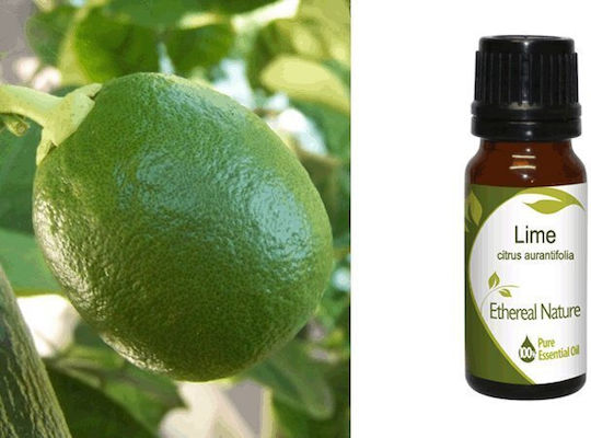 Nature & Body Αιθέριο Έλαιο Lime 10ml