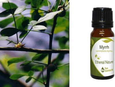 Nature & Body Essential Oil Myrrh 10ml