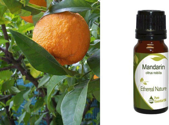 Nature & Body Ulei Esențial Mandarină 10ml