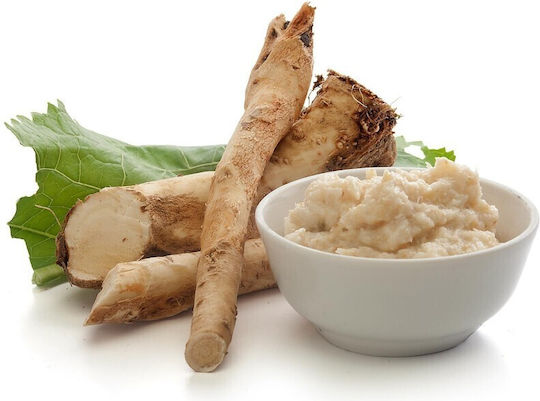 Panora Horseradish 100gr