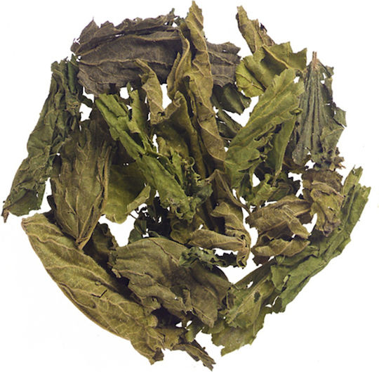 Panora Nettle 100gr