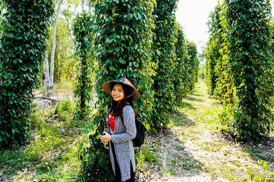 Smoked Black Pepper Vietnam Ground 50 Gr