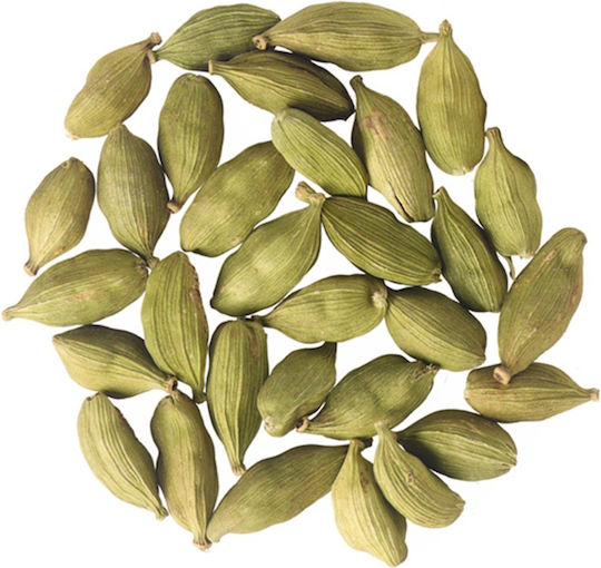 Panora Cardamom 20gr