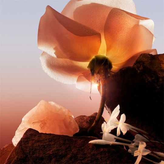 Lancome Idôle Now Florale Eau de Parfum 100ml
