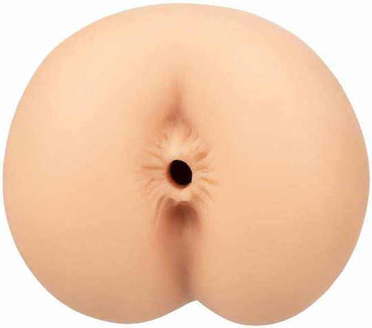 Calexotics Boundless Anus Masturbator 1Stück
