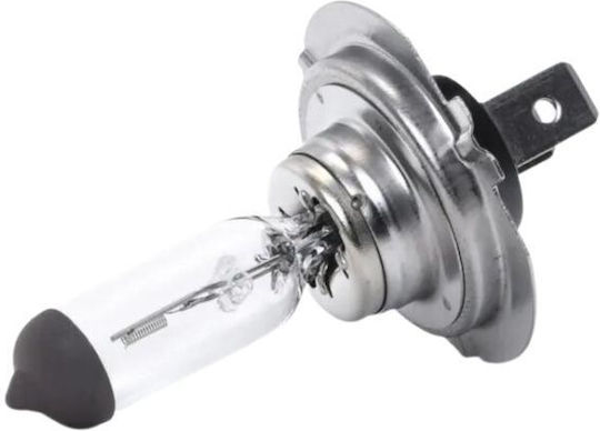 Osram Lampen Auto Classic H7 Halogen 4200K Naturweiß 12V 55W 1Stück LO-