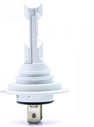 Einparts Lamps Car Canbus LED 6000K Cold White 2pcs