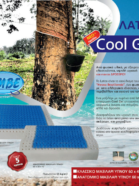 Amve Cool Μαξιλάρι Ύπνου Gel Ανατομικό 38x60x12cm