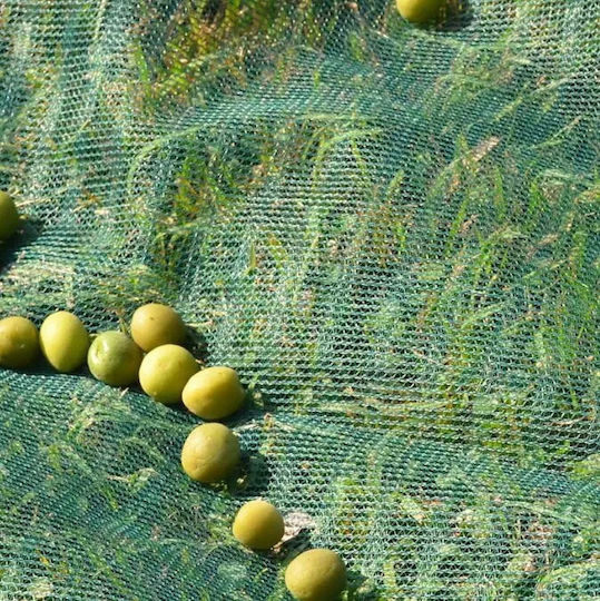 Lima Olive Sail 8x14m Density 95gr/m²