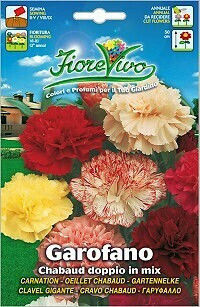 Gemma Σπόροι Γαρύφαλλο Carnation Πολύχρωμο 0.4gr