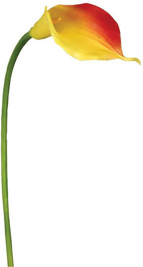 Calla Lily Red Lianos