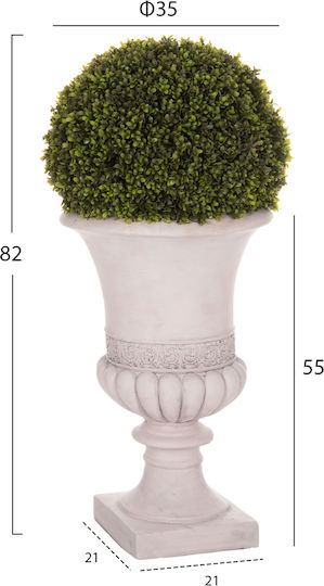 Buxus Potted Plant Multicolour HomeMarkt Buxus Potted Plant Multicolour HomeMarkt