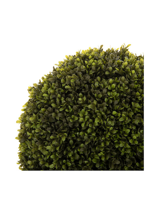 Buxus В Саксия Многоцветен 82см HomeMarkt