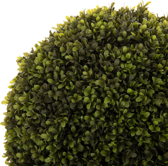 Buxus În Ghiveci Multicolor 82cm HomeMarkt