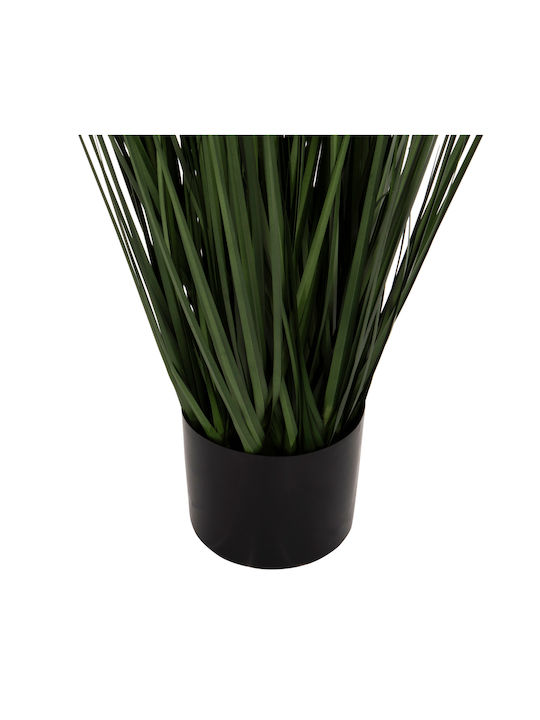 Iarbă În Ghiveci 120cm HomeMarkt