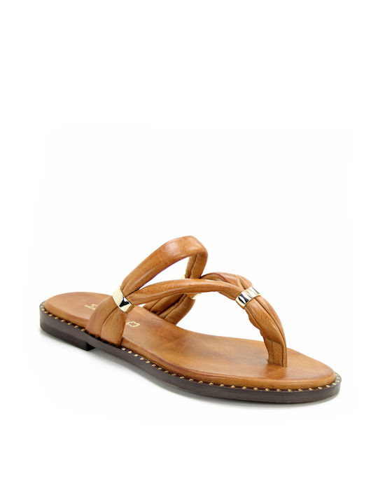 Sopasis Shoes Women's Flat Sandals in Tabac Brown Color