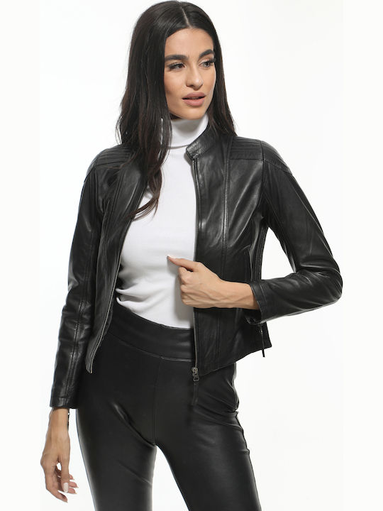 Newton Leather