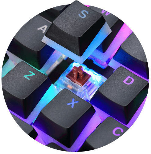 Preyon Blitz Claw Gaming Μηχανικό Πληκτρολόγιο Tenkeyless με Gateron Brown διακόπτες και RGB φωτισμό (Αγγλικό US)