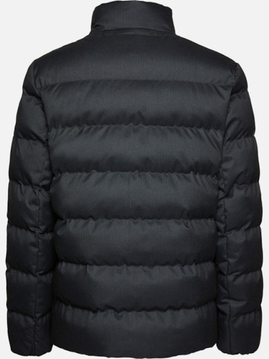 Levico Winter Jacket Gray