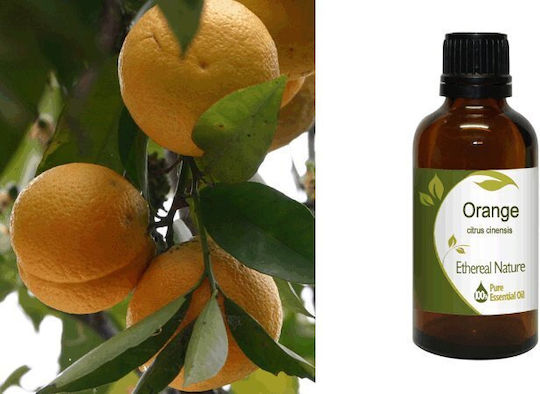 Nature & Body Essential Oil Orange 50ml