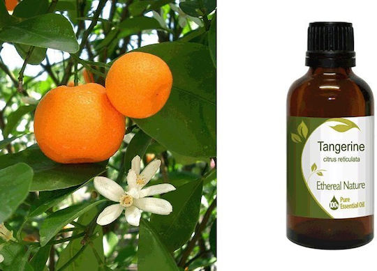 Nature & Body Етерично Масло Мандарини 50мл