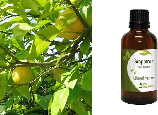 Nature & Body Grapefruit Ätherisches Öl Grapefruit 50ml