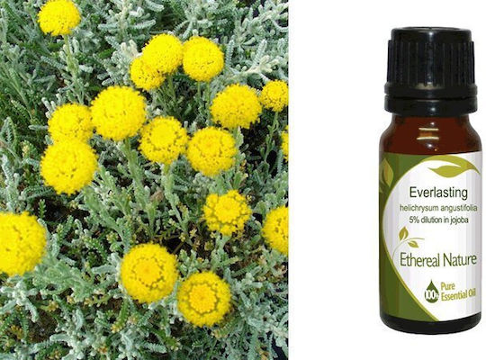 Nature & Body Elichrysus Everlasting Етерично Масло Elichrysus 10ml