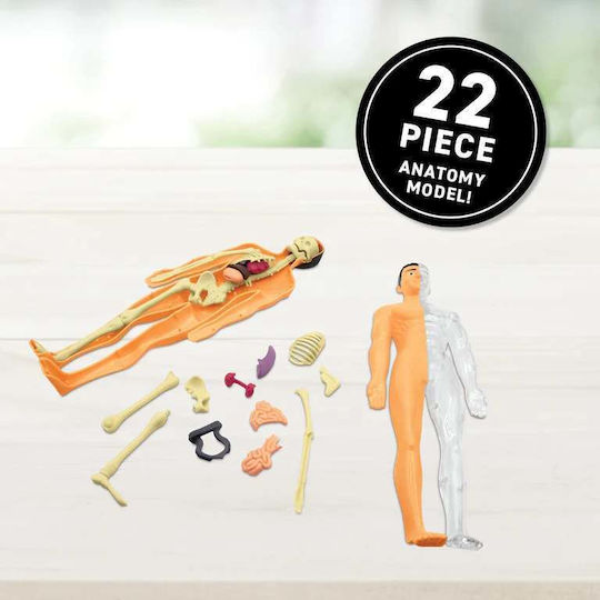 Virtual Reality Human Body STEM Lernspiel Wissen für 8-12 Jahre