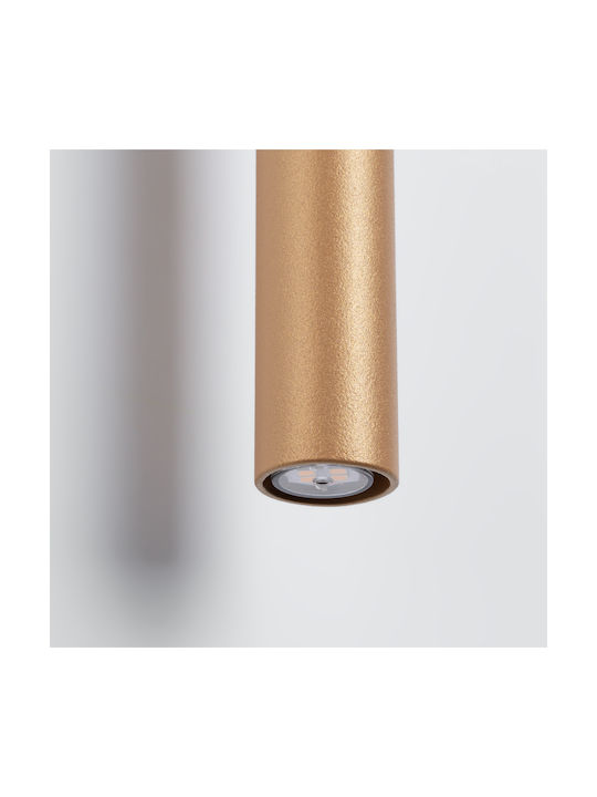 Sollux Modern Lamp Wall with Socket G9 Gold 51.5x9.5x7.5cm