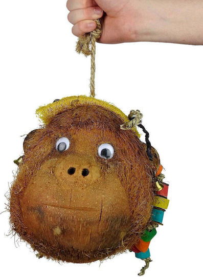 Java Wood Parrot Cage Game 40x20cm